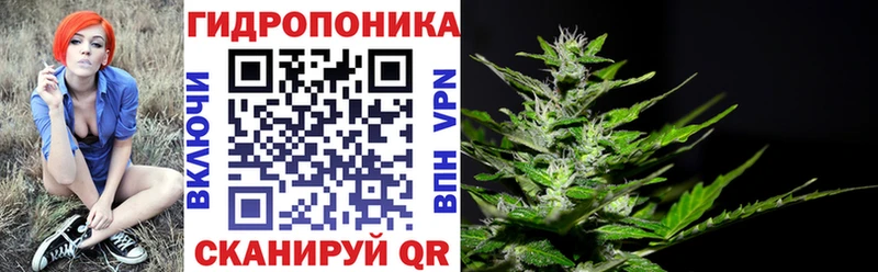 Конопля Amnesia  Ленск 
